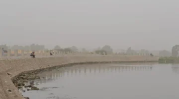 تفاصيل الطقس.. رياح تغطي جميع المناطق الثلاثاء 2025